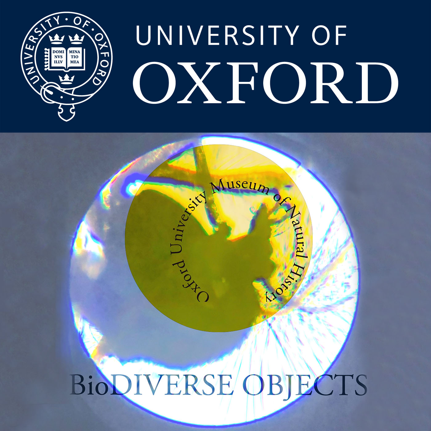 Biodiverse Objects