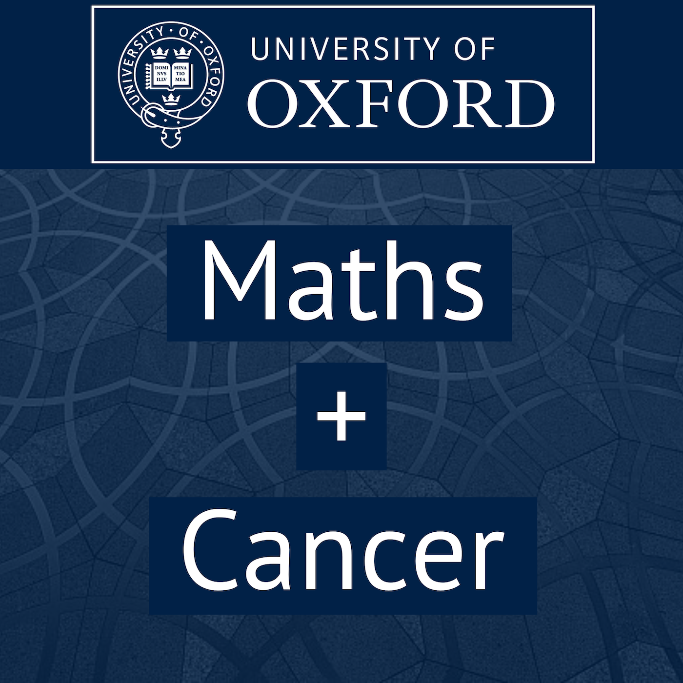 Maths + Cancer