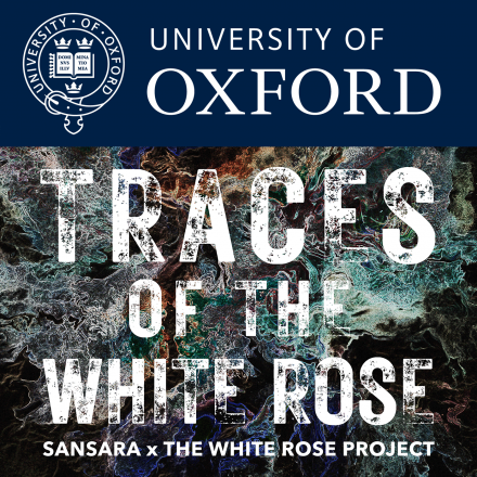 Traces of the White Rose